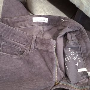 Loft skinny curvy cords
